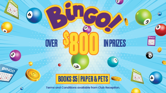 Bingo